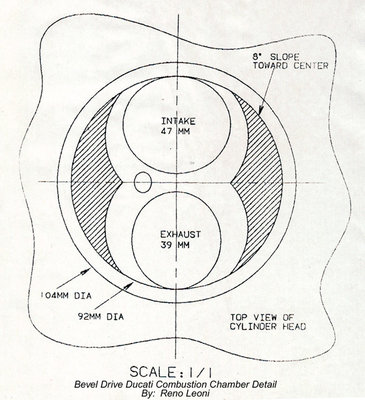 leoni cil head.jpg