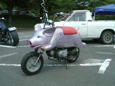 motorcycle-pig-1_800x0w.jpg